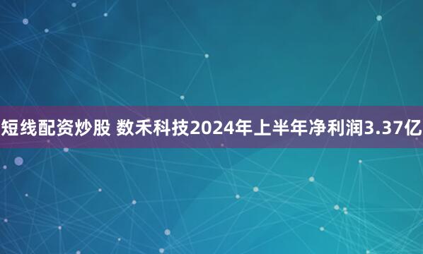 短线配资炒股 数禾科技2024年上半年净利润3.37亿