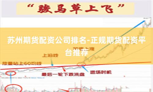 苏州期货配资公司排名-正规期货配资平台推荐