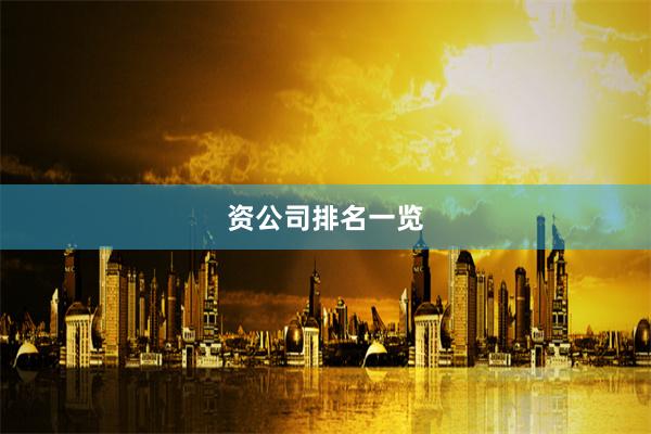 资公司排名一览